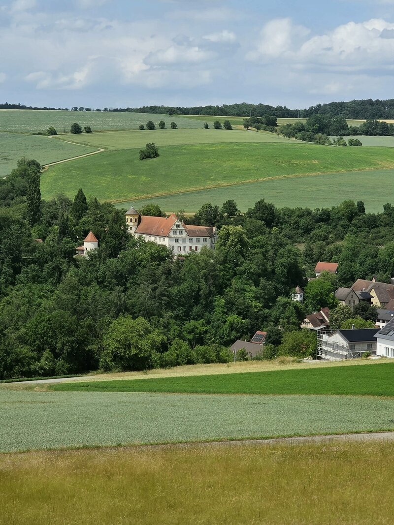 Blick über grüne Felder und Wälder auf Schloss Laibach, das auf einer bewaldeten Anhöhe liegt